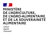 logo ministere